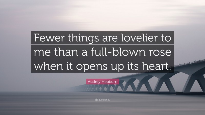 Audrey Hepburn Quote: “Fewer things are lovelier to me than a full-blown rose when it opens up its heart.”