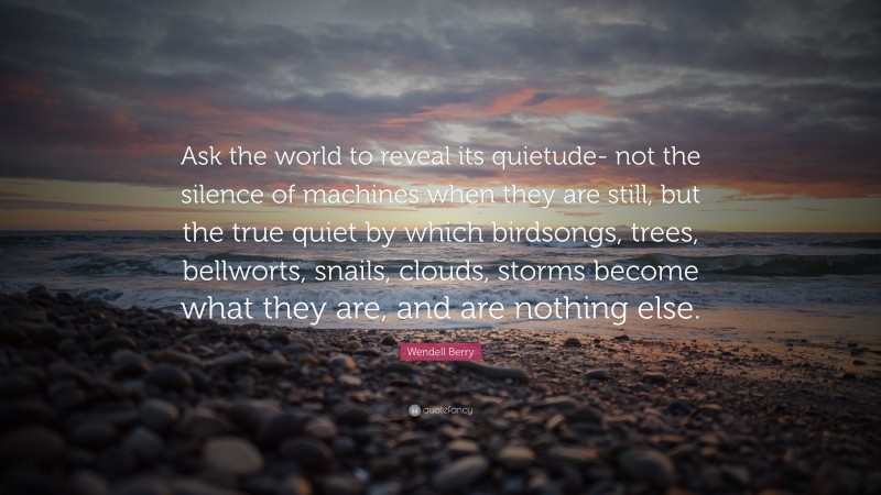 Wendell Berry Quote: “Ask the world to reveal its quietude- not the silence of machines when they are still, but the true quiet by which birdsongs, trees, bellworts, snails, clouds, storms become what they are, and are nothing else.”