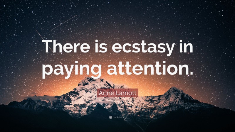 Anne Lamott Quote: “There is ecstasy in paying attention.”