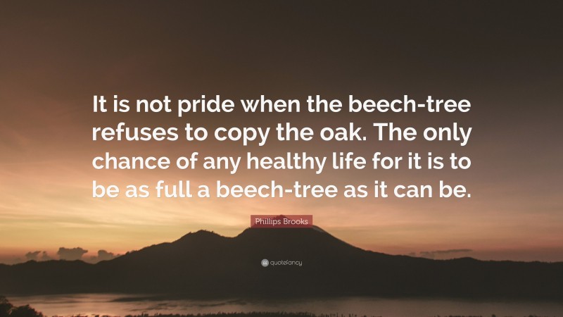 Phillips Brooks Quote: “It is not pride when the beech-tree refuses to copy the oak. The only chance of any healthy life for it is to be as full a beech-tree as it can be.”