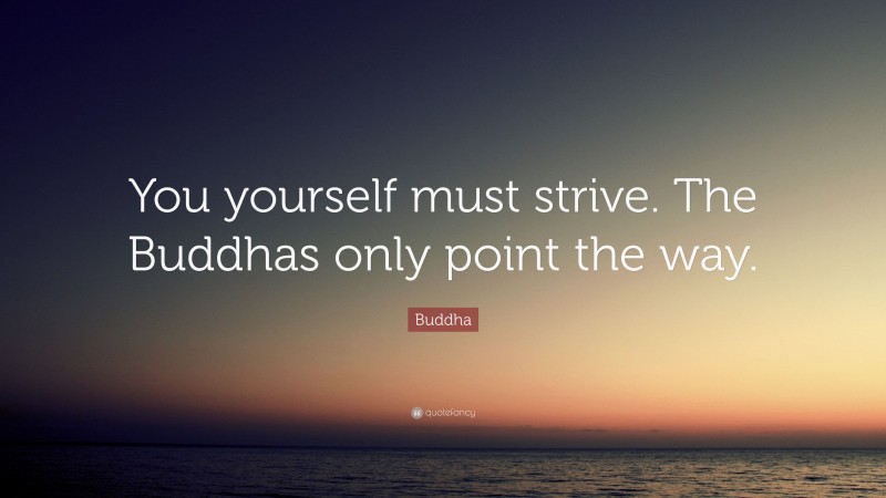 Buddha Quote: “You yourself must strive. The Buddhas only point the way.”