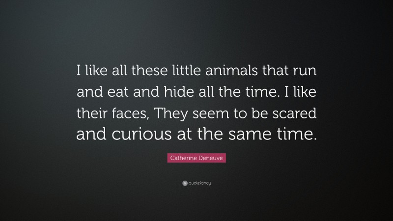 Catherine Deneuve Quote: “I like all these little animals that run and eat and hide all the time. I like their faces, They seem to be scared and curious at the same time.”