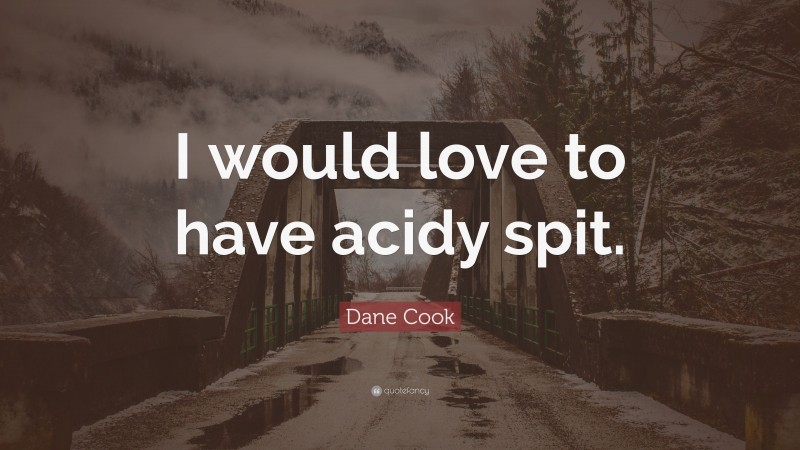 Dane Cook Quote: “I would love to have acidy spit.”