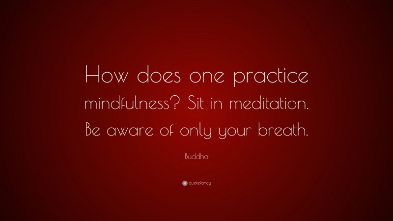 Buddha Quote: “How does one practice mindfulness? Sit in meditation. Be aware of only your breath.”