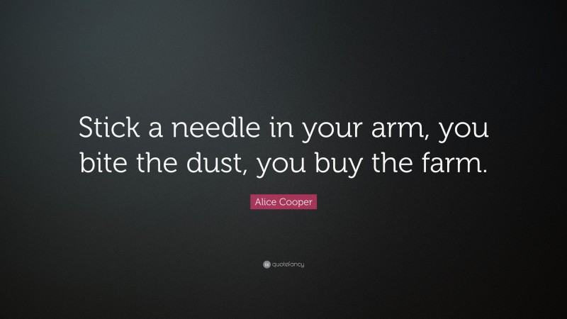 Alice Cooper Quote: “Stick a needle in your arm, you bite the dust, you buy the farm.”