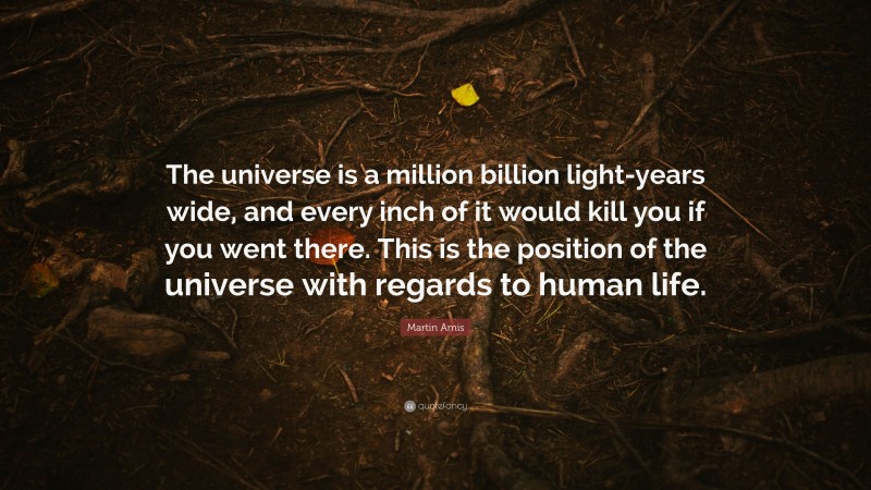 Martin Amis Quote: “The universe is a million billion light-years wide, and every inch of it would kill you if you went there. This is the position of the universe with regards to human life.”