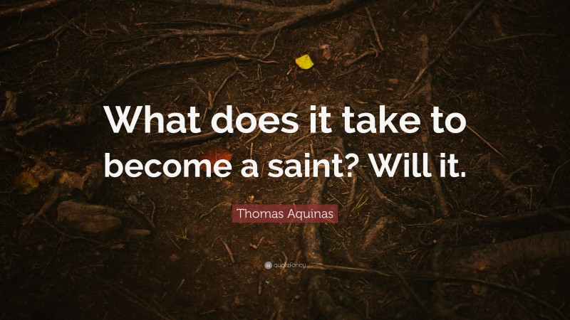 Thomas Aquinas Quote: “What does it take to become a saint? Will it.”