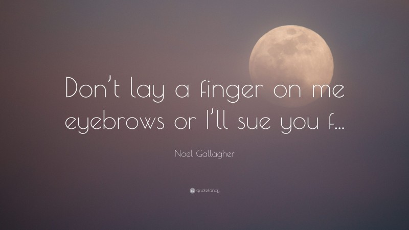 Noel Gallagher Quote: “Don’t lay a finger on me eyebrows or I’ll sue you f...”