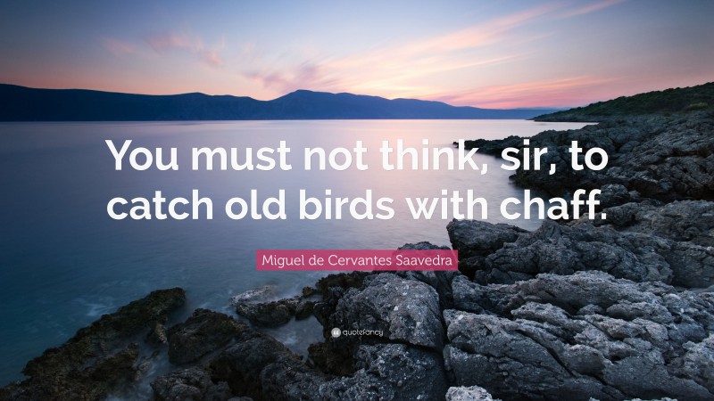 Miguel de Cervantes Saavedra Quote: “You must not think, sir, to catch old birds with chaff.”