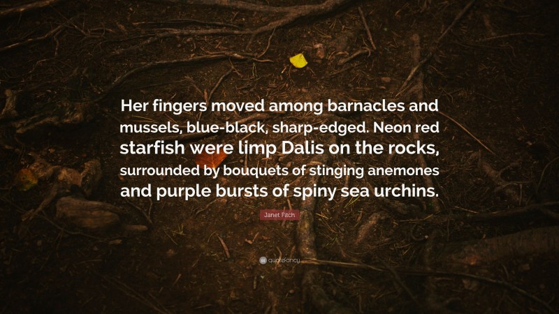 Janet Fitch Quote: “Her fingers moved among barnacles and mussels, blue-black, sharp-edged. Neon red starfish were limp Dalis on the rocks, surrounded by bouquets of stinging anemones and purple bursts of spiny sea urchins.”