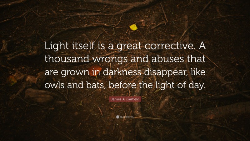 James A. Garfield Quote: “Light itself is a great corrective. A thousand wrongs and abuses that are grown in darkness disappear, like owls and bats, before the light of day.”