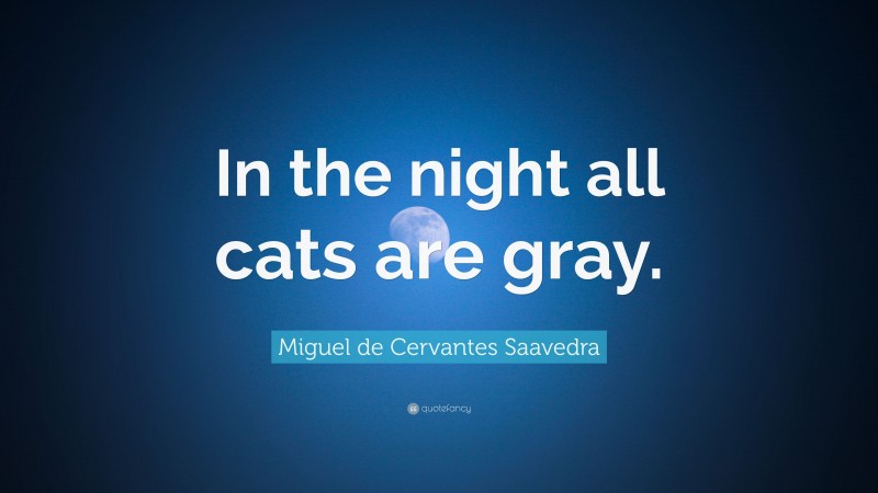 Miguel de Cervantes Saavedra Quote: “In the night all cats are gray.”
