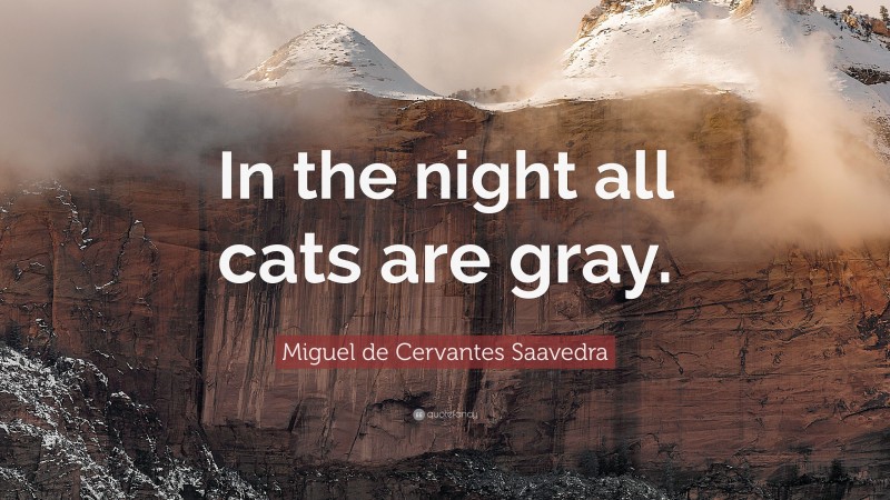 Miguel de Cervantes Saavedra Quote: “In the night all cats are gray.”