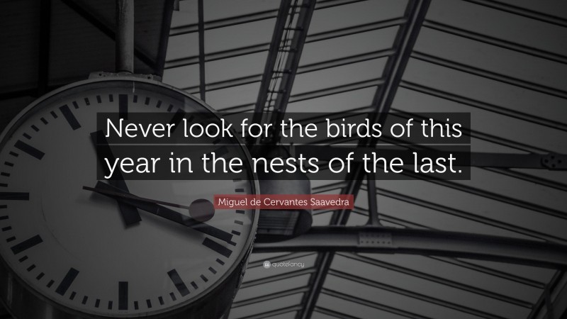 Miguel de Cervantes Saavedra Quote: “Never look for the birds of this year in the nests of the last.”