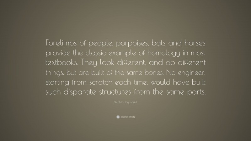 Stephen Jay Gould Quote: “Forelimbs of people, porpoises, bats and horses provide the classic example of homology in most textbooks. They look different, and do different things, but are built of the same bones. No engineer, starting from scratch each time, would have built such disparate structures from the same parts.”