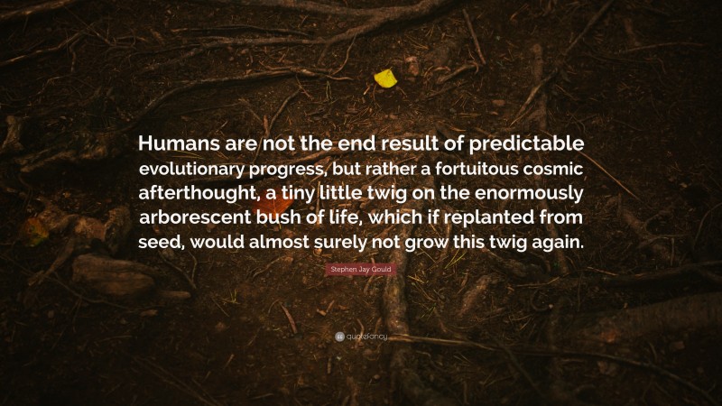 Stephen Jay Gould Quote: “Humans are not the end result of predictable evolutionary progress, but rather a fortuitous cosmic afterthought, a tiny little twig on the enormously arborescent bush of life, which if replanted from seed, would almost surely not grow this twig again.”