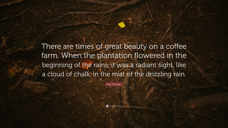 Isak Dinesen Quote: “There are times of great beauty on a coffee farm. When the plantation flowered in the beginning of the rains, it was a radiant sight, like a cloud of chalk, in the mist of the drizzling rain.”