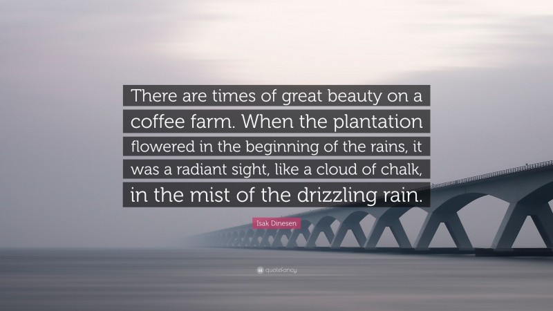 Isak Dinesen Quote: “There are times of great beauty on a coffee farm. When the plantation flowered in the beginning of the rains, it was a radiant sight, like a cloud of chalk, in the mist of the drizzling rain.”