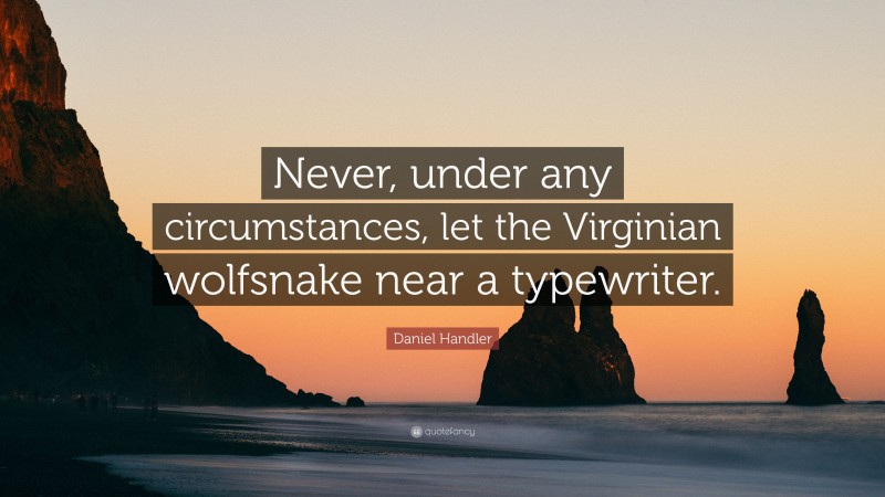 Daniel Handler Quote: “Never, under any circumstances, let the Virginian wolfsnake near a typewriter.”
