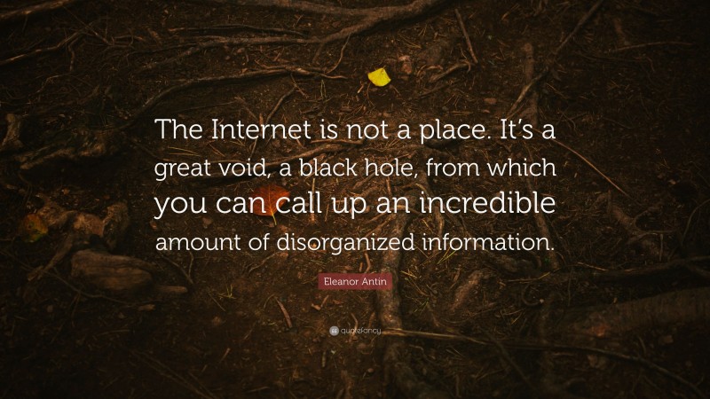 Eleanor Antin Quote: “The Internet is not a place. It’s a great void, a black hole, from which you can call up an incredible amount of disorganized information.”