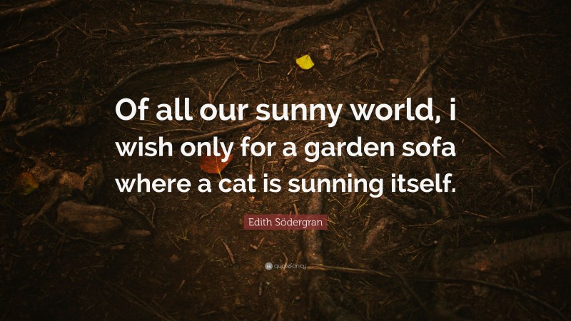 Edith Södergran Quote: “Of all our sunny world, i wish only for a garden sofa where a cat is sunning itself.”