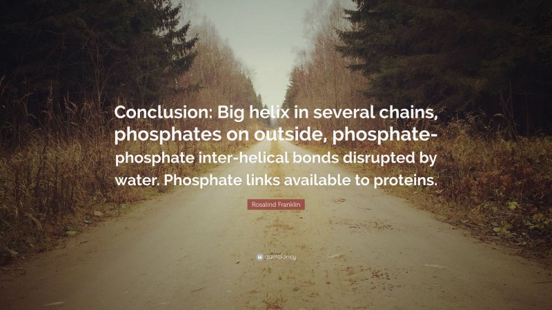 Rosalind Franklin Quote: “Conclusion: Big helix in several chains, phosphates on outside, phosphate-phosphate inter-helical bonds disrupted by water. Phosphate links available to proteins.”