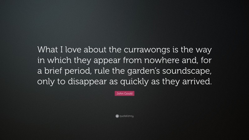 John Gould Quote: “What I love about the currawongs is the way in which they appear from nowhere and, for a brief period, rule the garden’s soundscape, only to disappear as quickly as they arrived.”