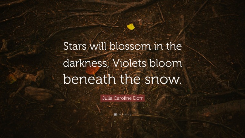 Julia Caroline Dorr Quote: “Stars will blossom in the darkness, Violets bloom beneath the snow.”