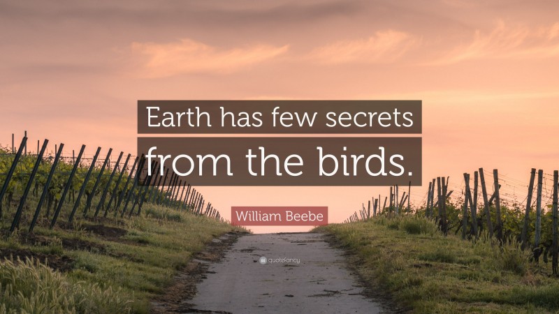 William Beebe Quote: “Earth has few secrets from the birds.”