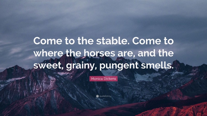 Monica Dickens Quote: “Come to the stable. Come to where the horses are, and the sweet, grainy, pungent smells.”