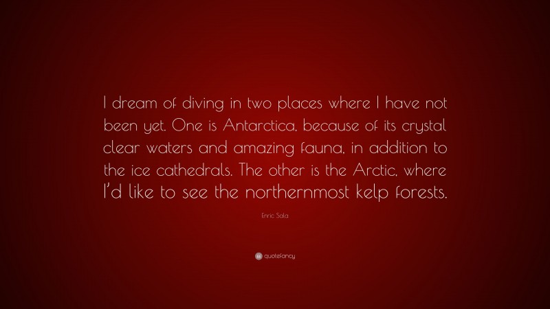 Enric Sala Quote: “I dream of diving in two places where I have not been yet. One is Antarctica, because of its crystal clear waters and amazing fauna, in addition to the ice cathedrals. The other is the Arctic, where I’d like to see the northernmost kelp forests.”