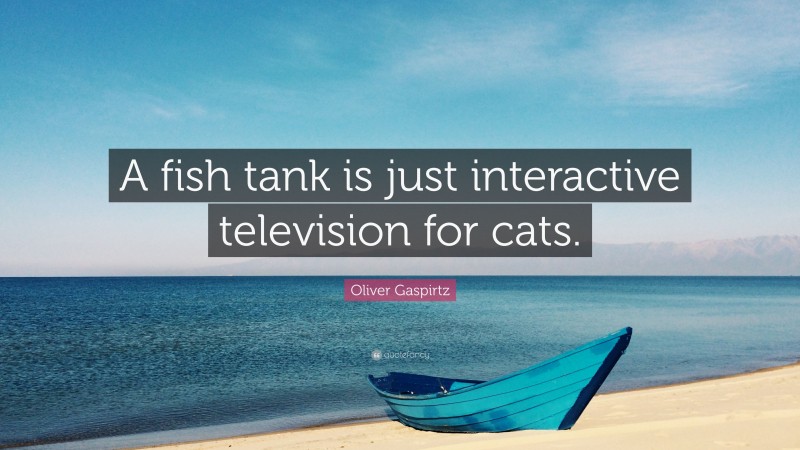 Oliver Gaspirtz Quote: “A fish tank is just interactive television for cats.”
