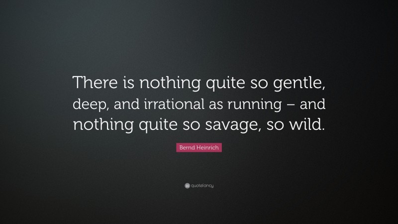 Bernd Heinrich Quote: “There is nothing quite so gentle, deep, and irrational as running – and nothing quite so savage, so wild.”