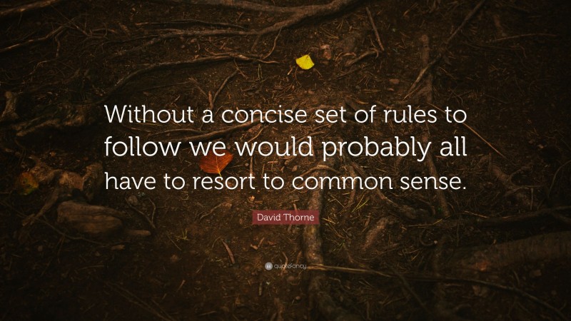 David Thorne Quote: “Without a concise set of rules to follow we would probably all have to resort to common sense.”