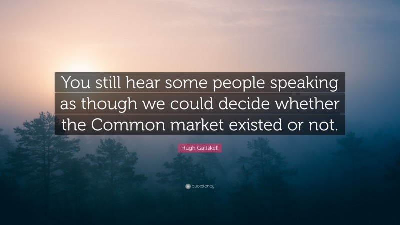 Hugh Gaitskell Quote: “You still hear some people speaking as though we could decide whether the Common market existed or not.”