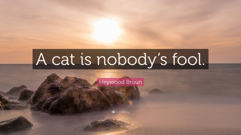 Heywood Broun Quote: “A cat is nobody’s fool.”