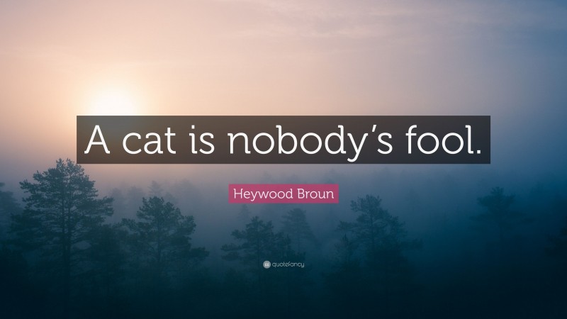 Heywood Broun Quote: “A cat is nobody’s fool.”
