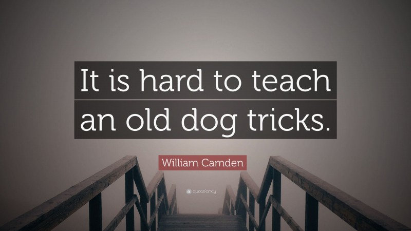 William Camden Quote: “It is hard to teach an old dog tricks.”