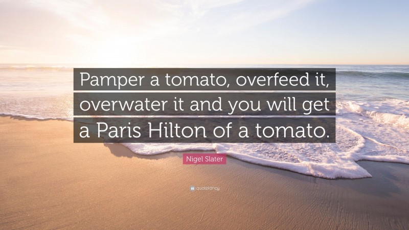 Nigel Slater Quote: “Pamper a tomato, overfeed it, overwater it and you will get a Paris Hilton of a tomato.”