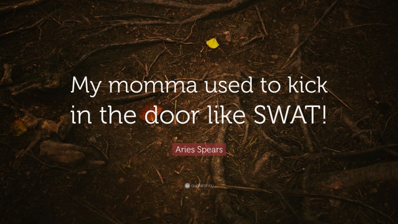 Aries Spears Quote: “My momma used to kick in the door like SWAT!”