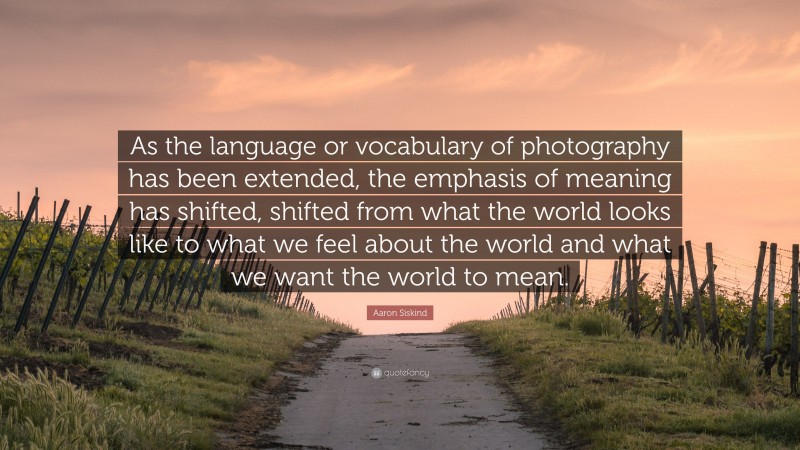 Aaron Siskind Quote: “As the language or vocabulary of photography has been extended, the emphasis of meaning has shifted, shifted from what the world looks like to what we feel about the world and what we want the world to mean.”