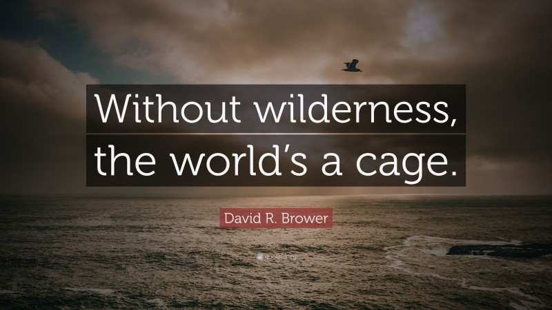 David R. Brower Quote: “Without wilderness, the world’s a cage.”