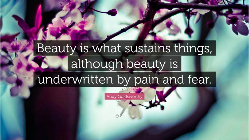 Andy Goldsworthy Quote: “Beauty is what sustains things, although beauty is underwritten by pain and fear.”