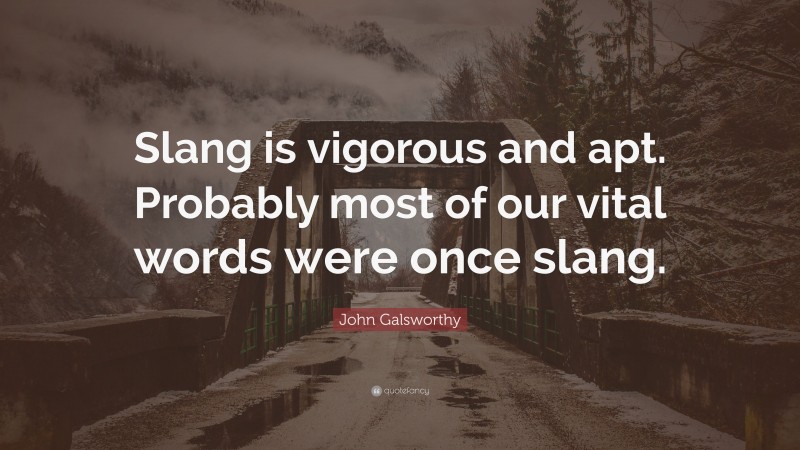 John Galsworthy Quote: “Slang is vigorous and apt. Probably most of our vital words were once slang.”