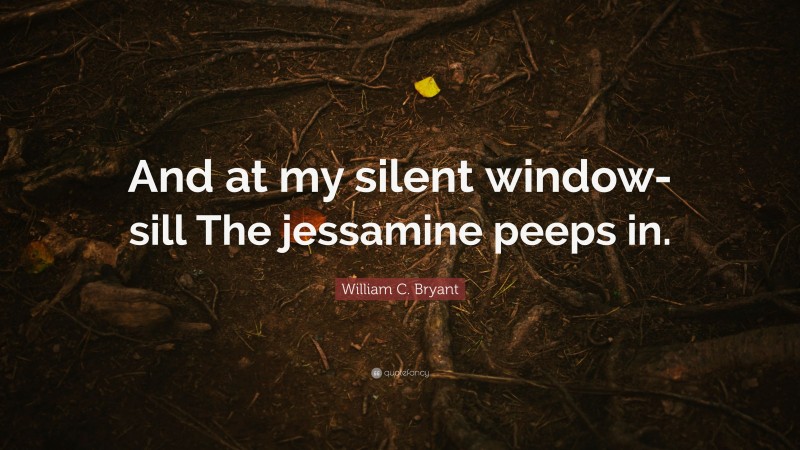 William C. Bryant Quote: “And at my silent window-sill The jessamine peeps in.”