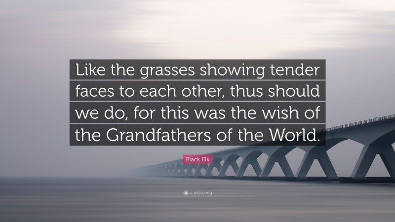 Black Elk Quote: “Like the grasses showing tender faces to each other, thus should we do, for this was the wish of the Grandfathers of the World.”