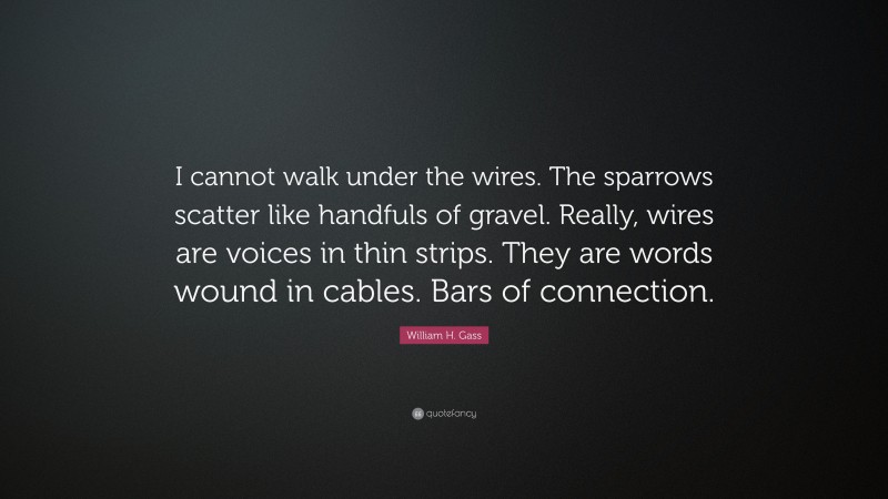 William H. Gass Quote: “I cannot walk under the wires. The sparrows scatter like handfuls of gravel. Really, wires are voices in thin strips. They are words wound in cables. Bars of connection.”