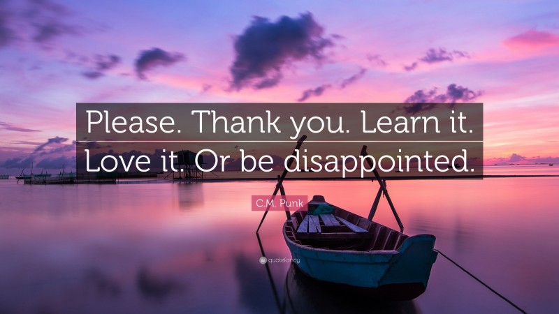 C.M. Punk Quote: “Please. Thank you. Learn it. Love it. Or be disappointed.”