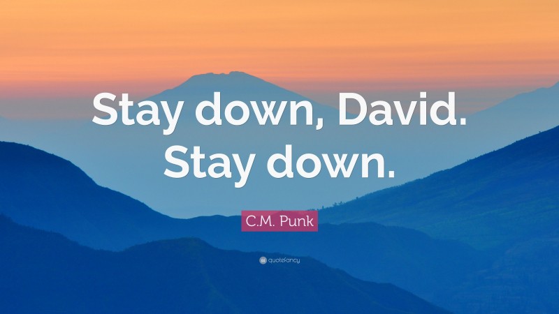 C.M. Punk Quote: “Stay down, David. Stay down.”
