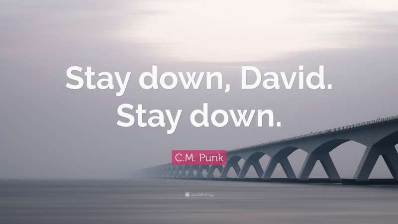 C.M. Punk Quote: “Stay down, David. Stay down.”